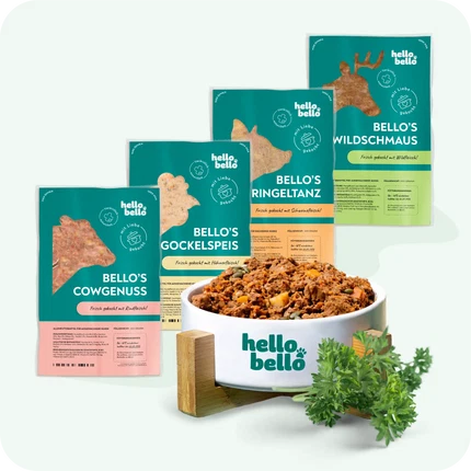 Nourriture fraîche pour un besoin énergétique de 724 kcal/jour