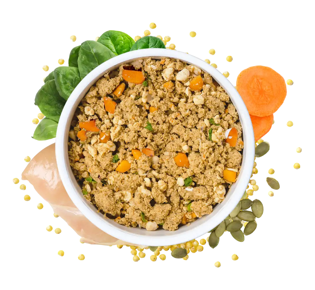 HelloBello Frischfutter mit Huhn Gockelspeis