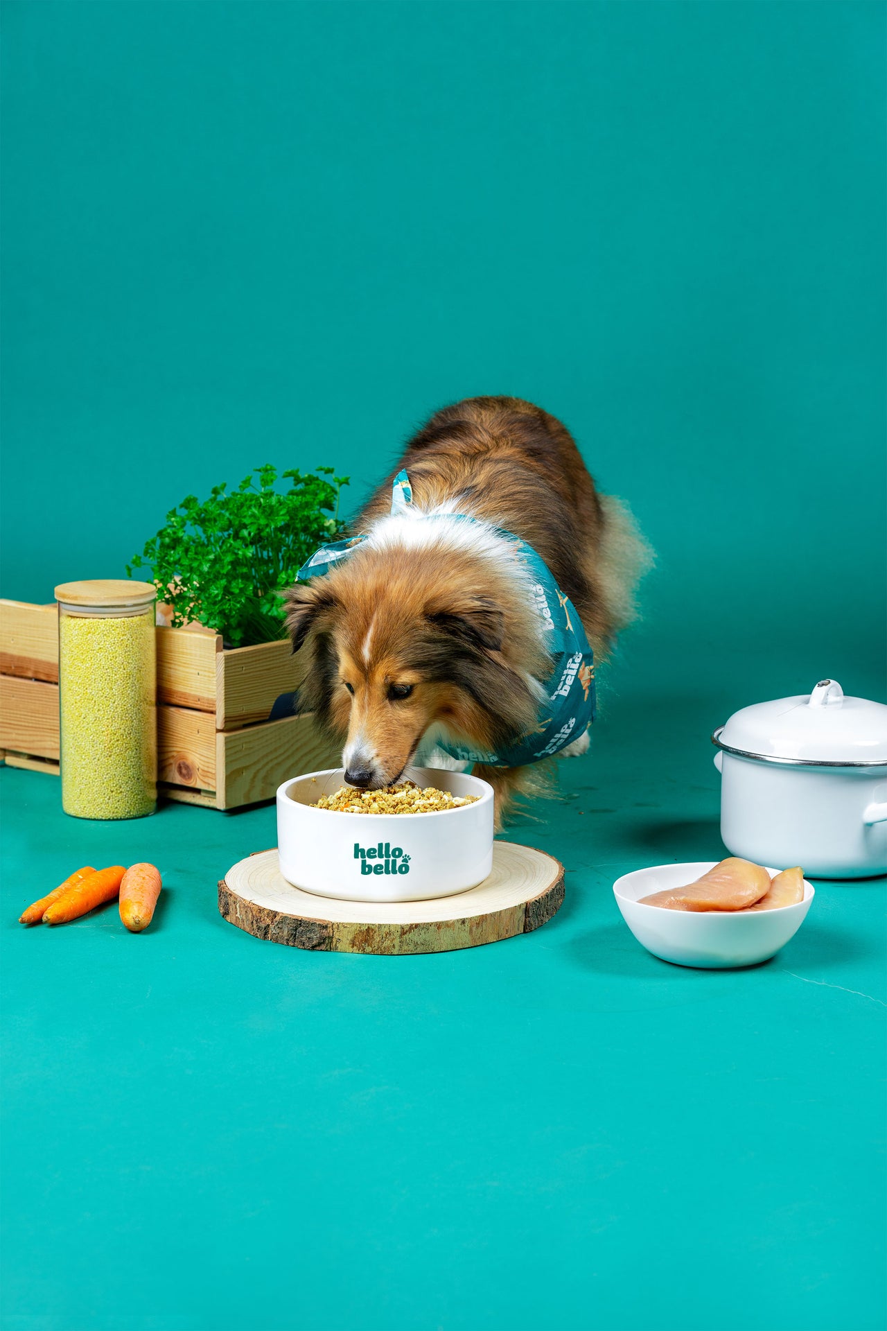 HelloBello Frischfutter mit Huhn Gockelspeis