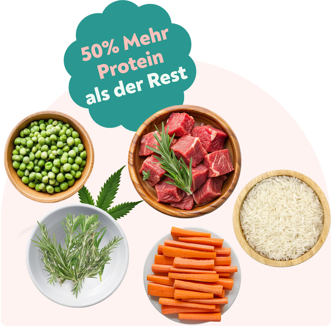 HelloBello Frischfutter mit Rind Cowgenuss