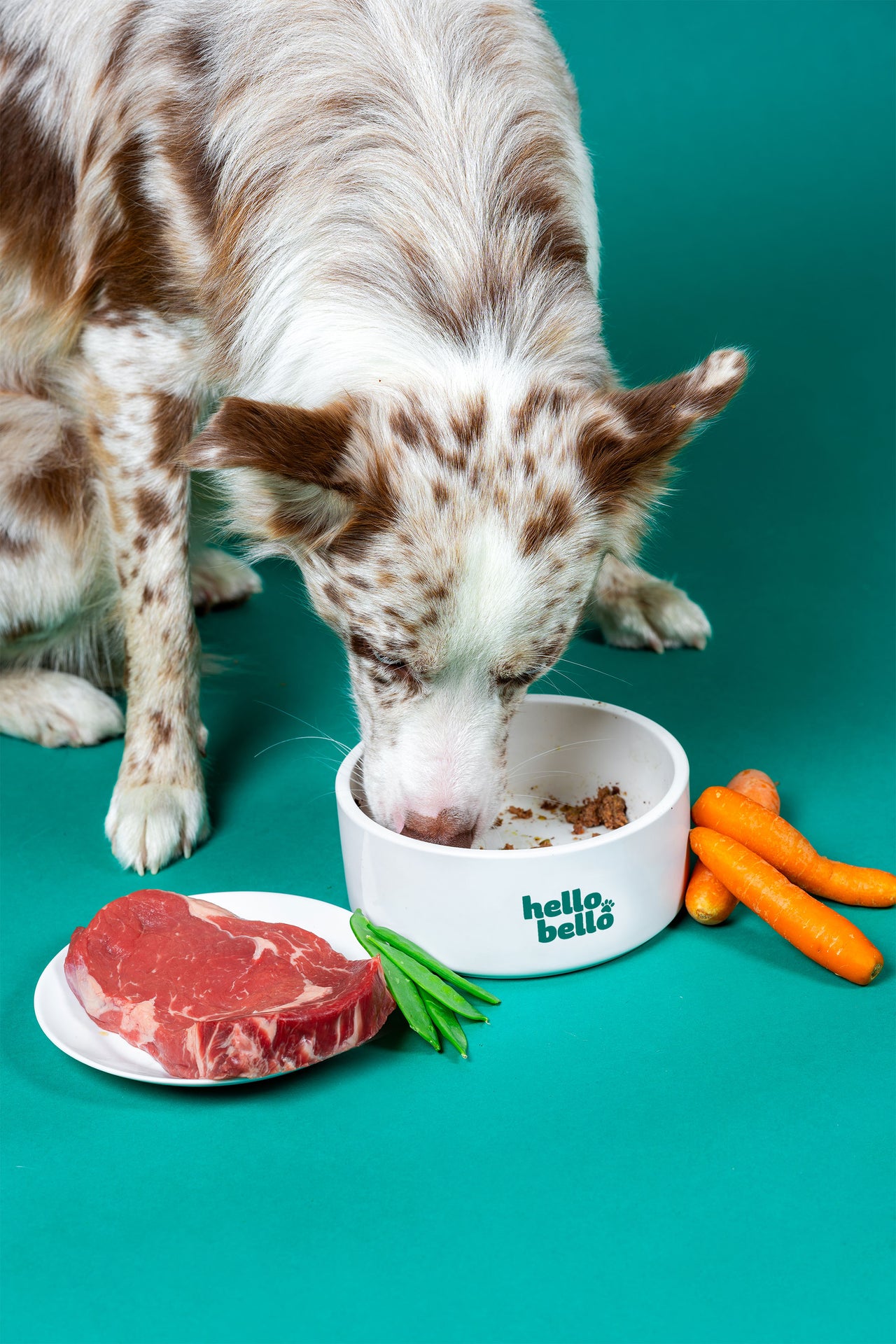 HelloBello Frischfutter mit Rind Cowgenuss