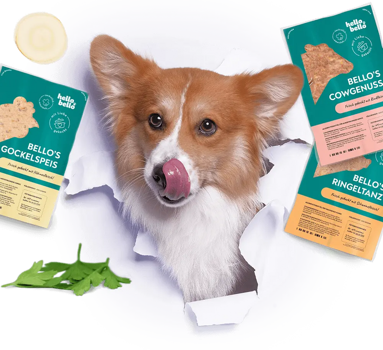 Benefits Mobile image