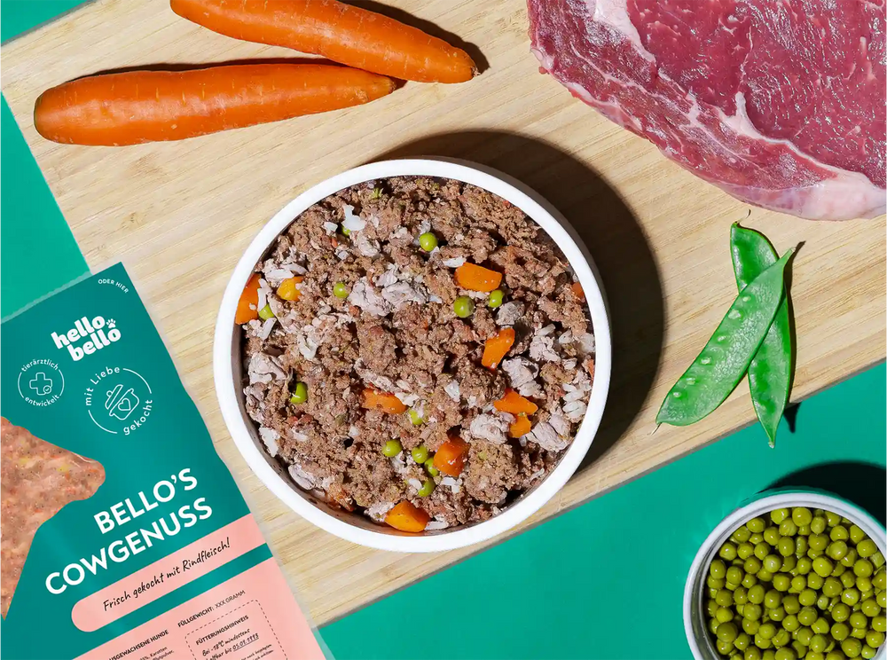 Hauptbild frisches Rezept