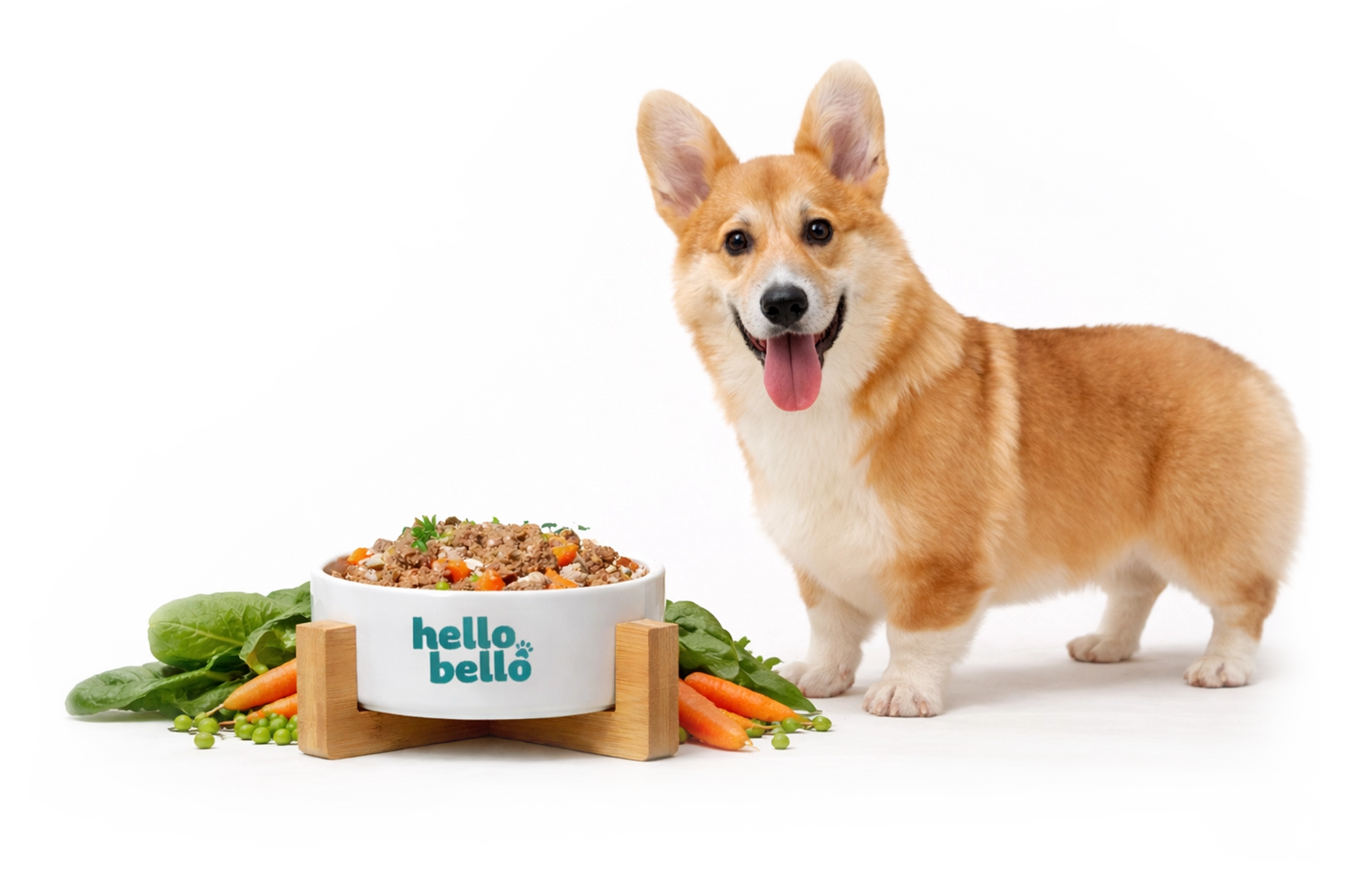 Hintergrundbild frische Rezepte